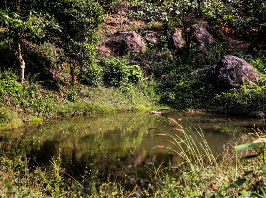 Hotel Yedamakky Cottage 2