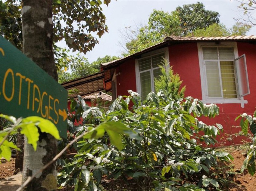 Hotel Yedamakky Cottage 5