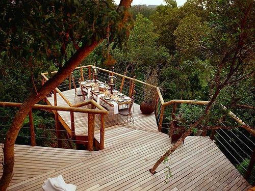 Tsala Treetop Lodge Plettenberg Bay Western Cape