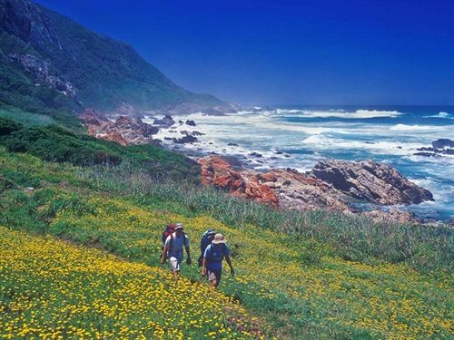 Tsala Treetop Lodge 13