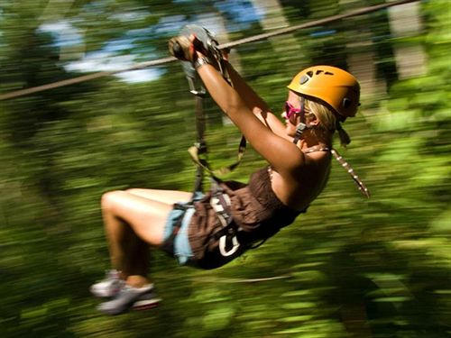 Tsala Treetop Lodge 15