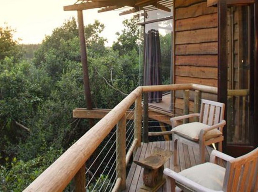 Tsala Treetop Lodge 2