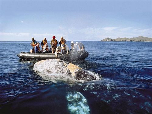 Tsala Treetop Lodge 6