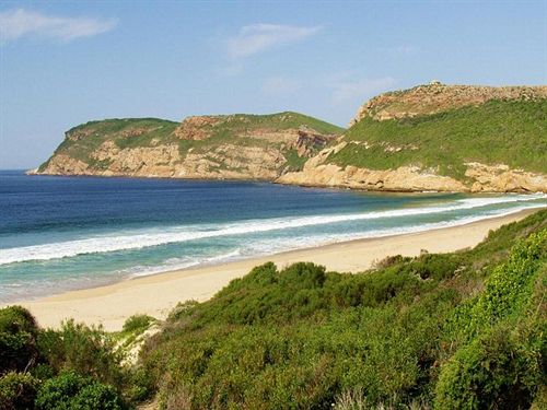 Tsala Treetop Lodge 8