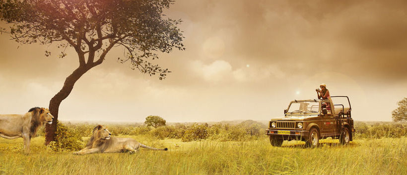 Hotel The Gateway Gir Forest 17