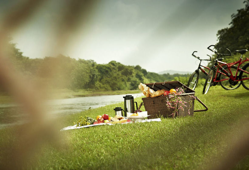 Hotel The Gateway Gir Forest 18