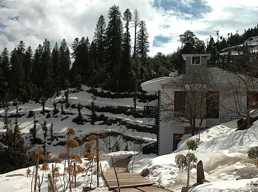 Resort The Terraces 3