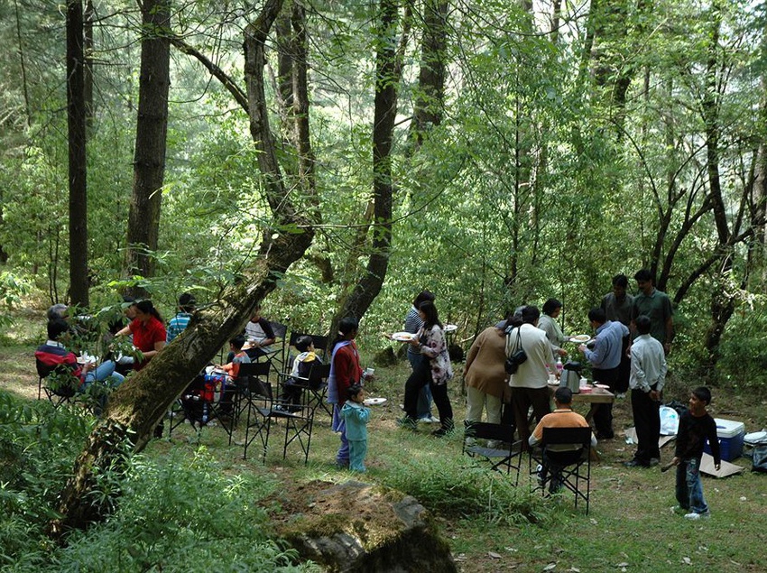 Resort The Terraces 8