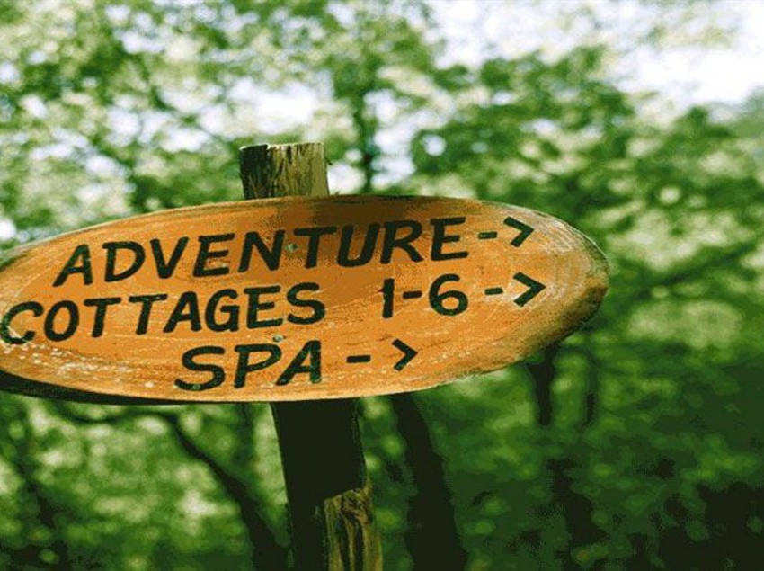 Hotel Aamod Resort 11