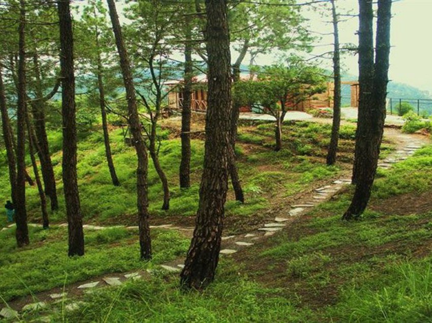 Hotel Aamod Resort 13