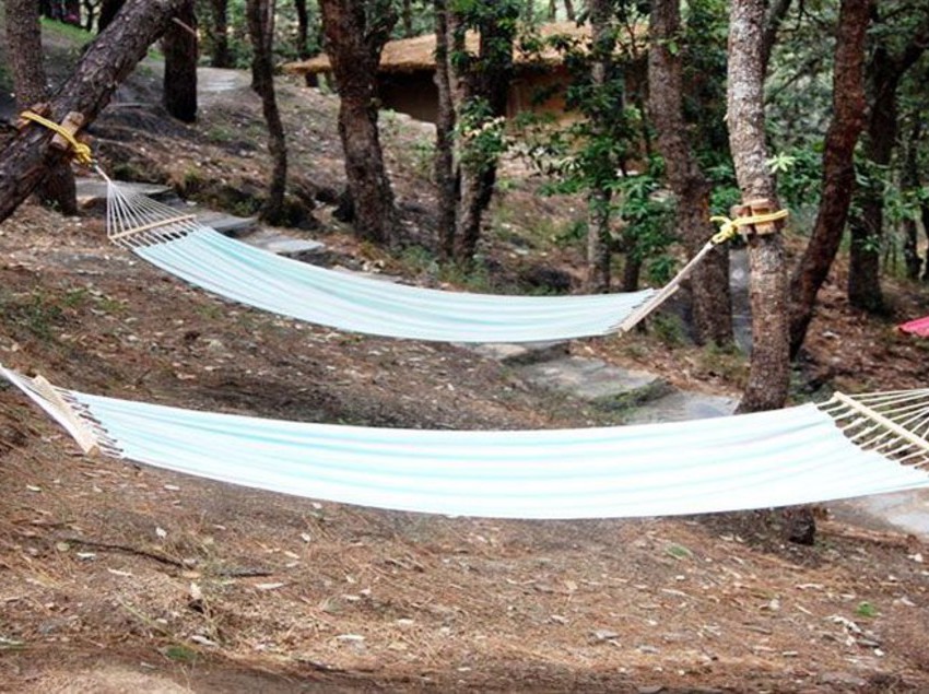 Hotel Aamod Resort 15