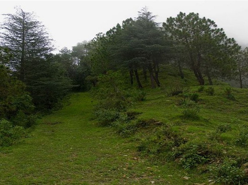 Hotel Aamod Resort 18