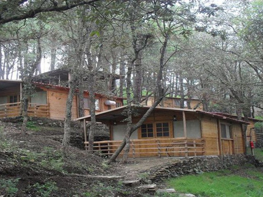 Hotel Aamod Resort 4