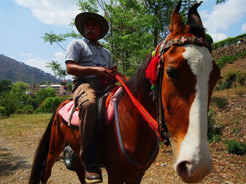 Hotel Country Inn - Bhimtal 7