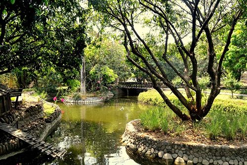 Hotel Infinity Corbett Wilderness Resort 7