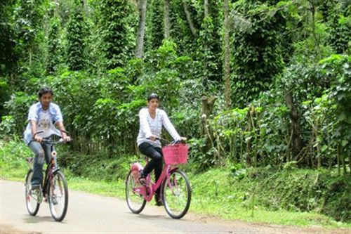 Hotel Parumpara Holiday Resort