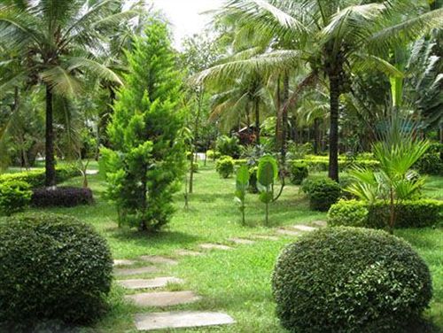 Hotel Parumpara Holiday Resort 1