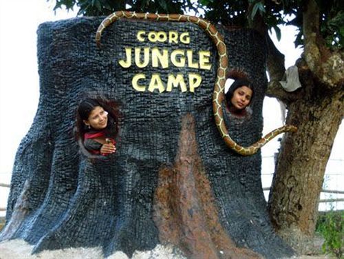 Hotel Parumpara Holiday Resort 14