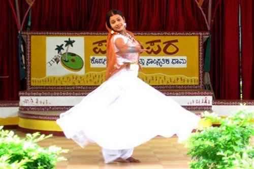 Hotel Parumpara Holiday Resort 16