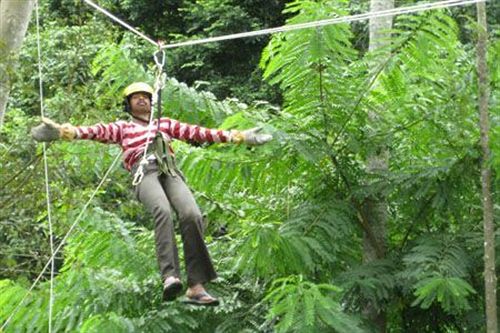 Hotel Parumpara Holiday Resort 3