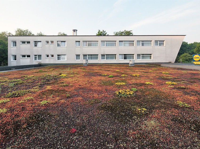 Petul Aparthotel City Essen Renania del Norte Westfalia