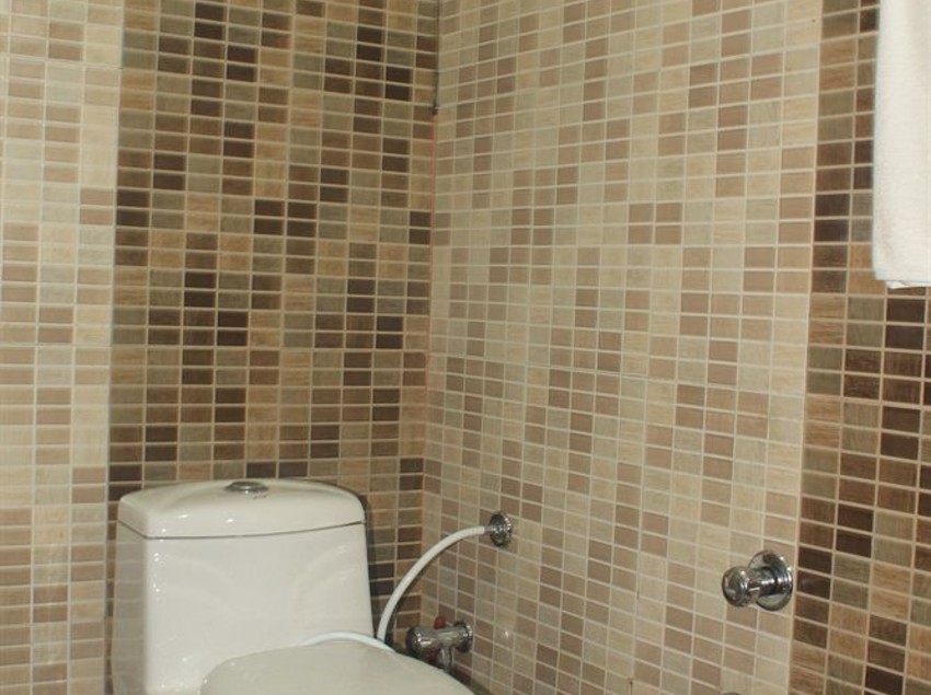 Hotel Gandhi Paradise 4