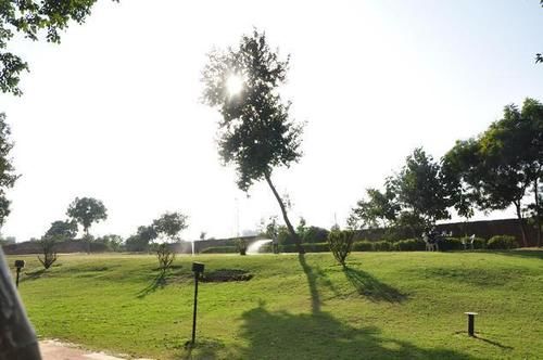 Hotel Madhu Resorts 8