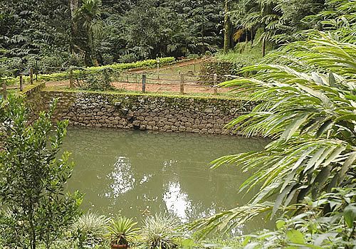 Glenmore Resorts Kerala