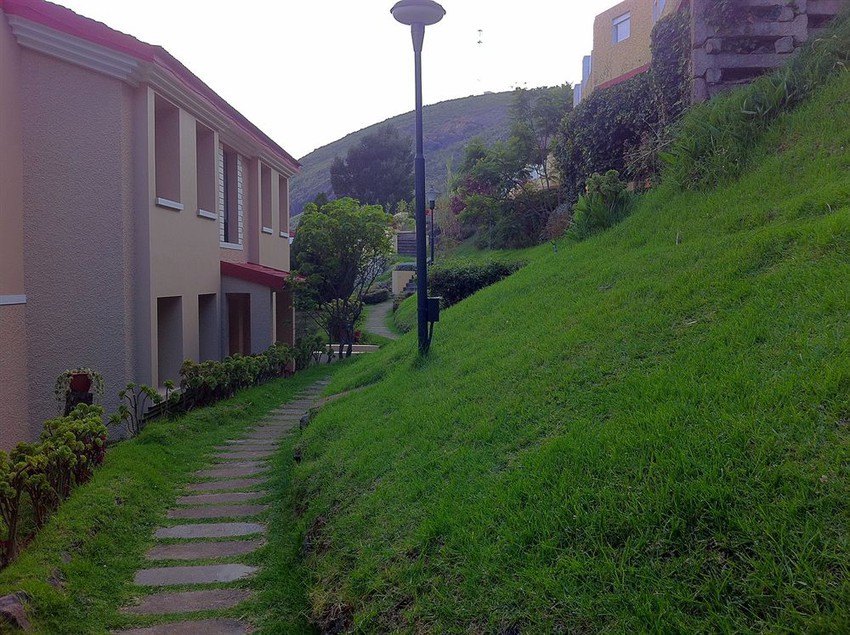 Resort Hill Country Lovedale 12