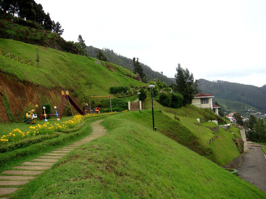 Resort Hill Country Lovedale 16