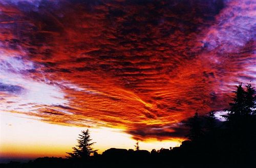 Hotel Ilbert Manor 17