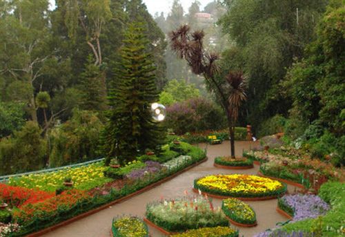 Hotel Heaven Holiday Resort 6