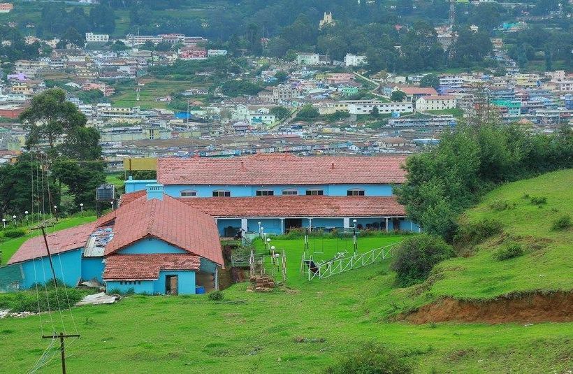 Hotel British Cliff Club Resort 18