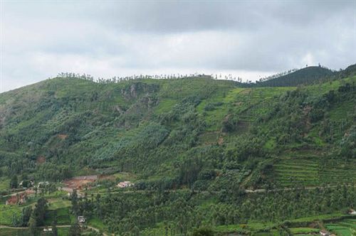 Hotel Ooty Gate 7