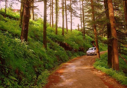 Hotel Woodpark Shimla Himachal Pradesh