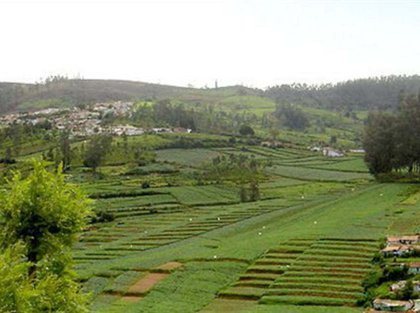 Hotel Sapphire Grand