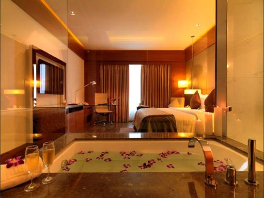 Hotel Regenta One Hyderabad 18