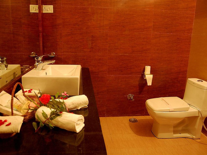 Resort Abrar Palace & Jungle Camps 13