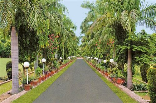 Resort Abrar Palace & Jungle Camps 17