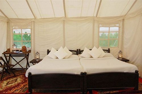 Resort Abrar Palace & Jungle Camps 20