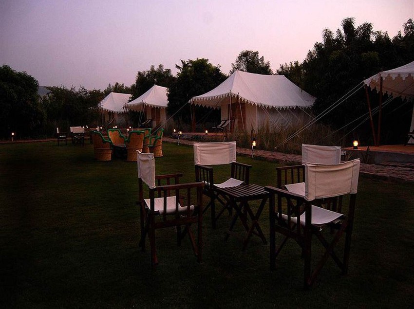 Resort Abrar Palace & Jungle Camps 5