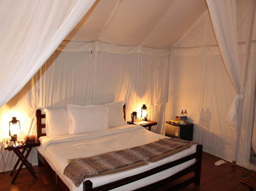 Resort Abrar Palace & Jungle Camps 9