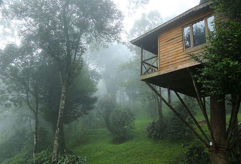 Nature Zone Resort 1