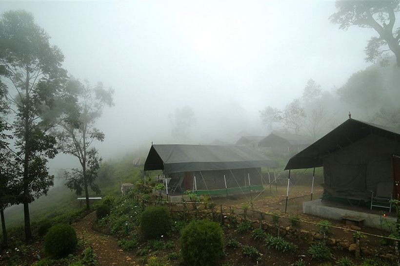 Nature Zone Resort 2