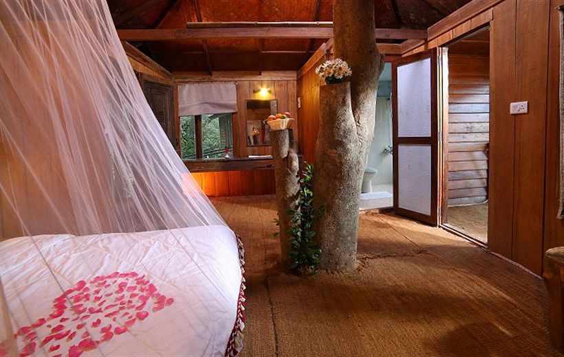 Nature Zone Resort 3