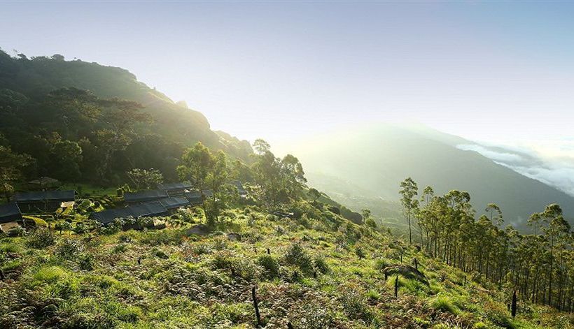 Nature Zone Resort 5