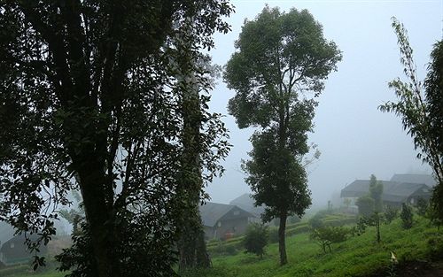 Nature Zone Resort 9