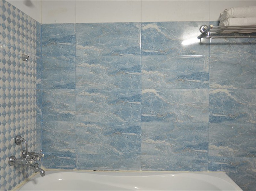 Hotel Manali Mahal 5