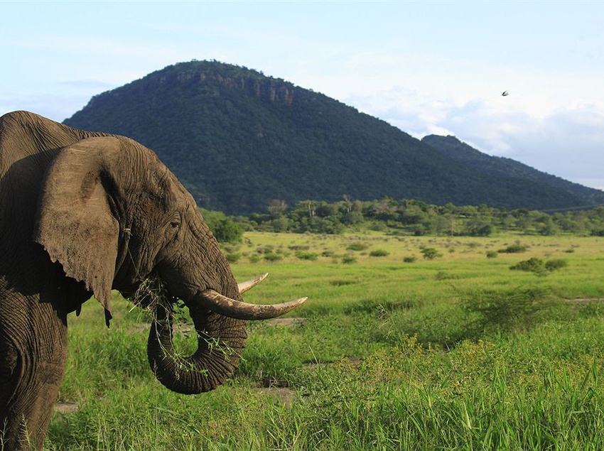 Amakhosi Safari Lodge 18