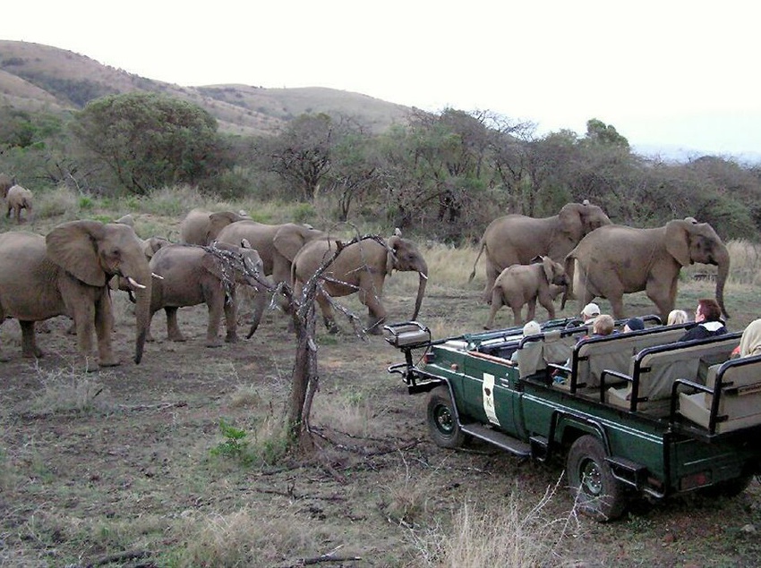 Amakhosi Safari Lodge 5